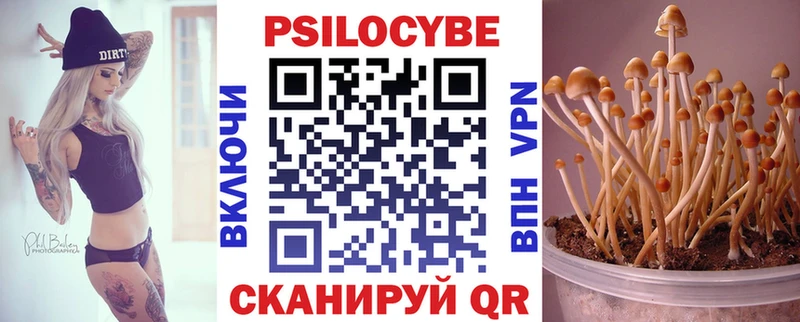 Псилоцибиновые грибы Psilocybe Новая Ляля